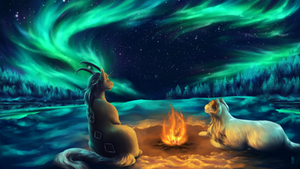 Aurora YCH