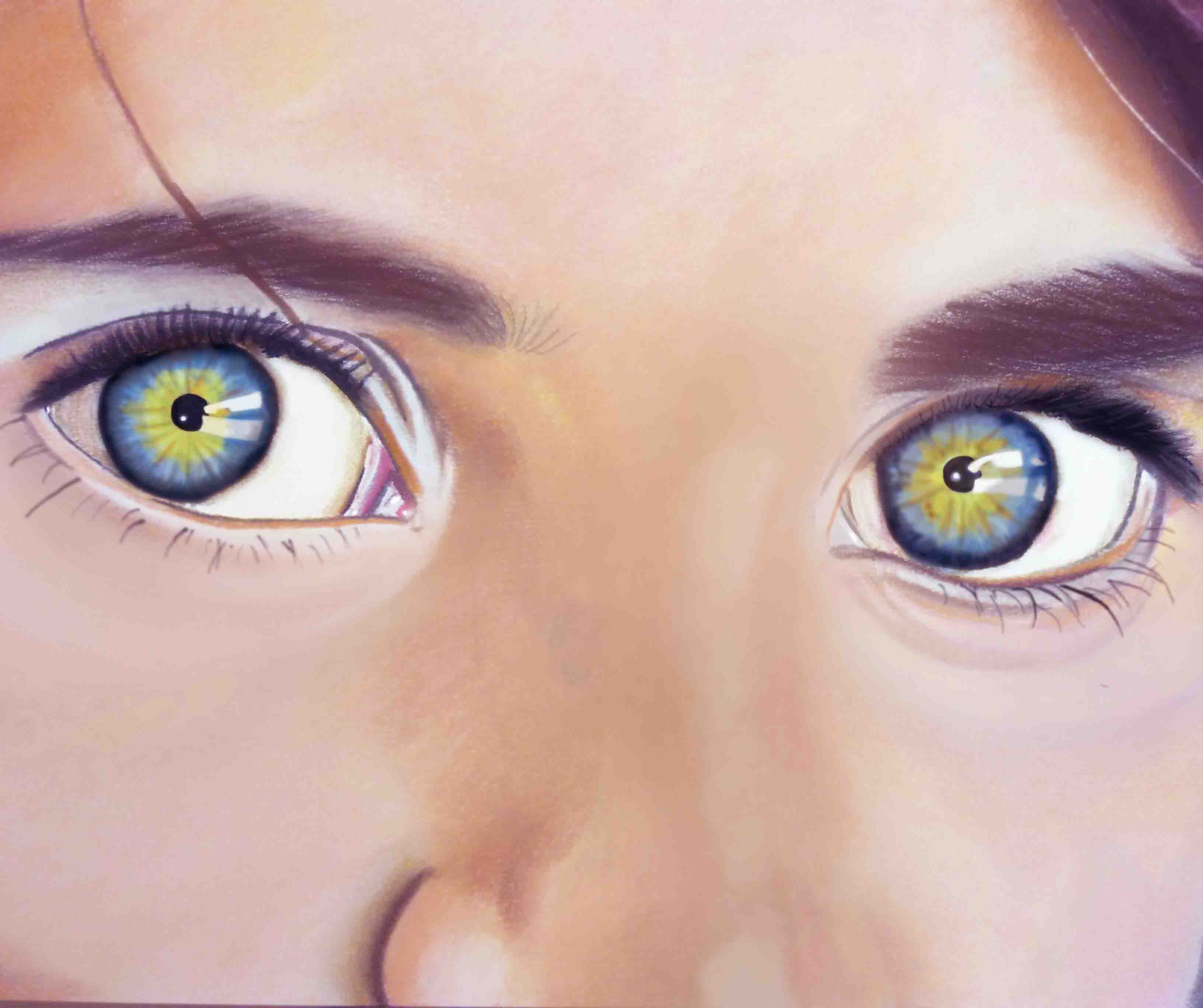 Portrait of Sharbat Gula's Eyes.