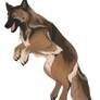 Nyx