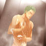 Shower (Zoro)