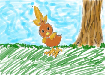 Torchic Sketch