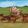Sura, Ezar and Nia