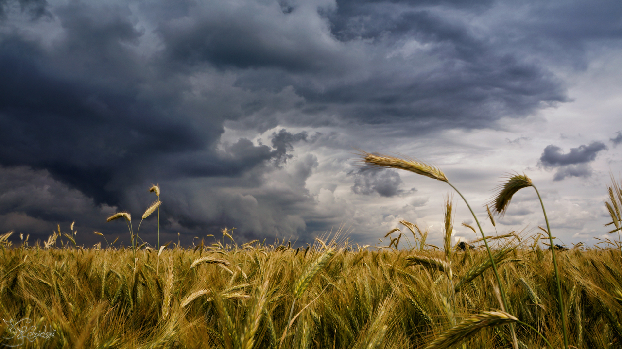 The approaching storm