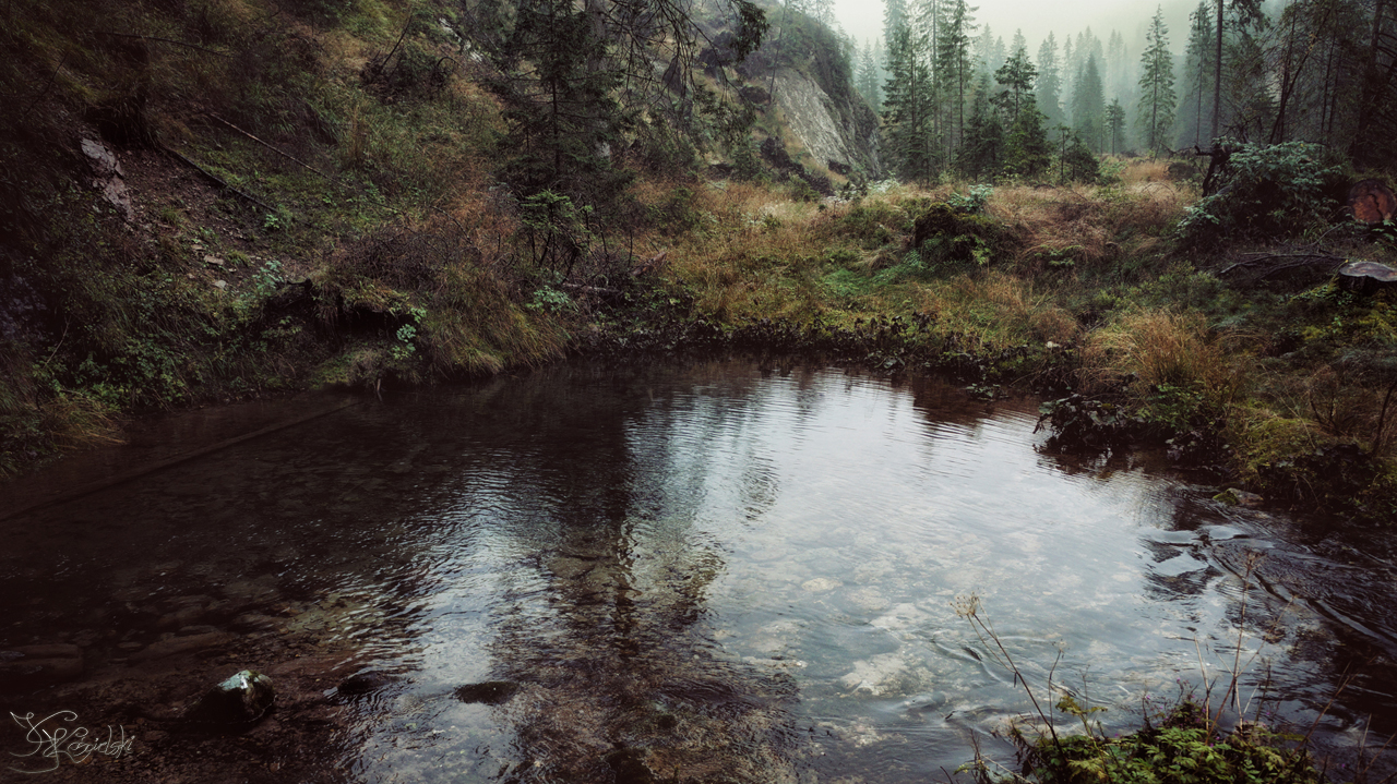 The pond of forgotten wishes