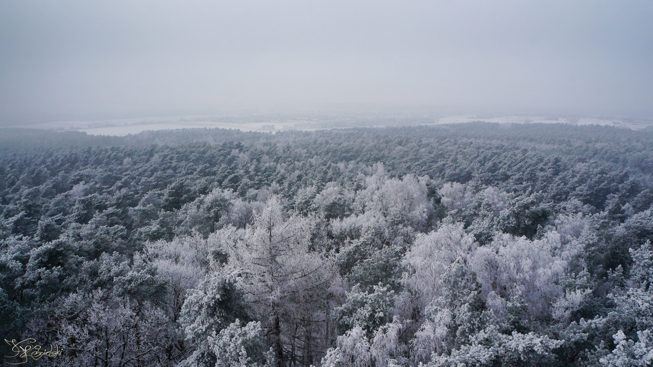 The frozen horizon