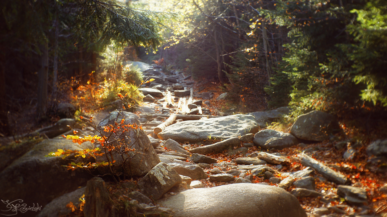 Autumnal illumination by kriskeleris