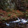 Charm of a canyon stream