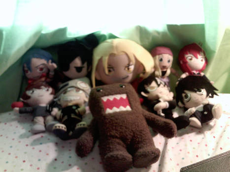 My Plushie collection thus far...