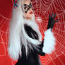 Black Cat and Spider-Man: The Little Spider Poster