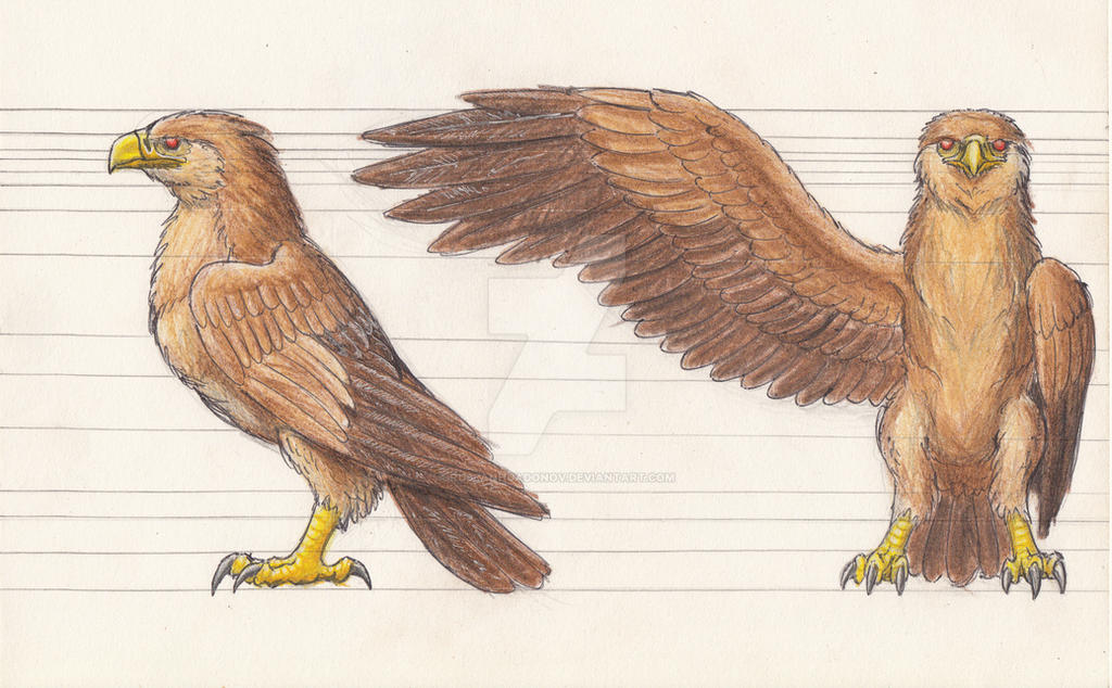 Roc concept art (HoMM3) by RuslanHuadonov on DeviantArt