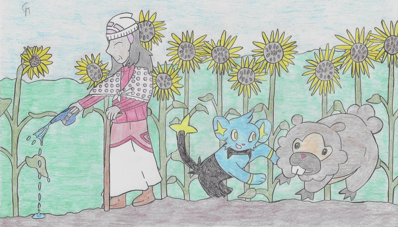 Amid the Sunflowers: Christmas in July 2024