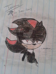 Shadow The Hedgehog 2 en color