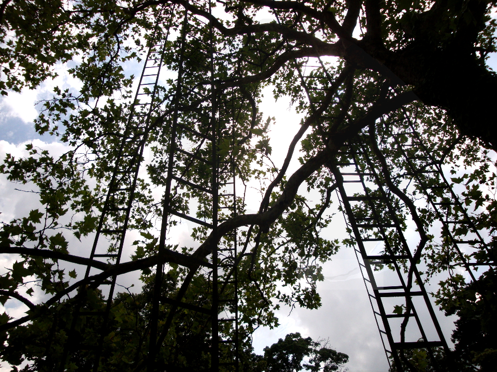 A Ladder to the Sky