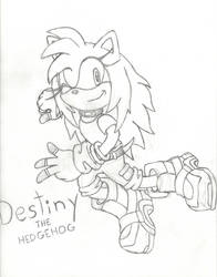 Destiny The Hedgehog Redesign by XxDessysaurxX