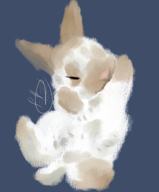 Cute Rabbit 4910 Cute rabbit by Fatosh910 on DeviantArt