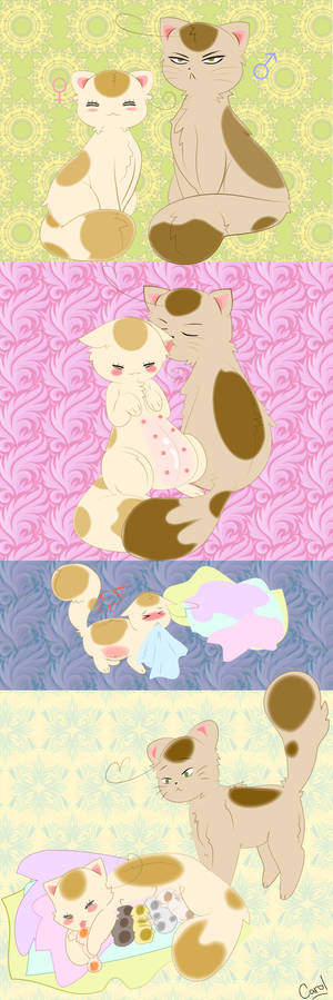 Hetalia- Hello kitties