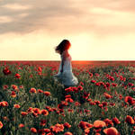 poppy field by photoflake