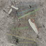 Roadside Reamls on itch io