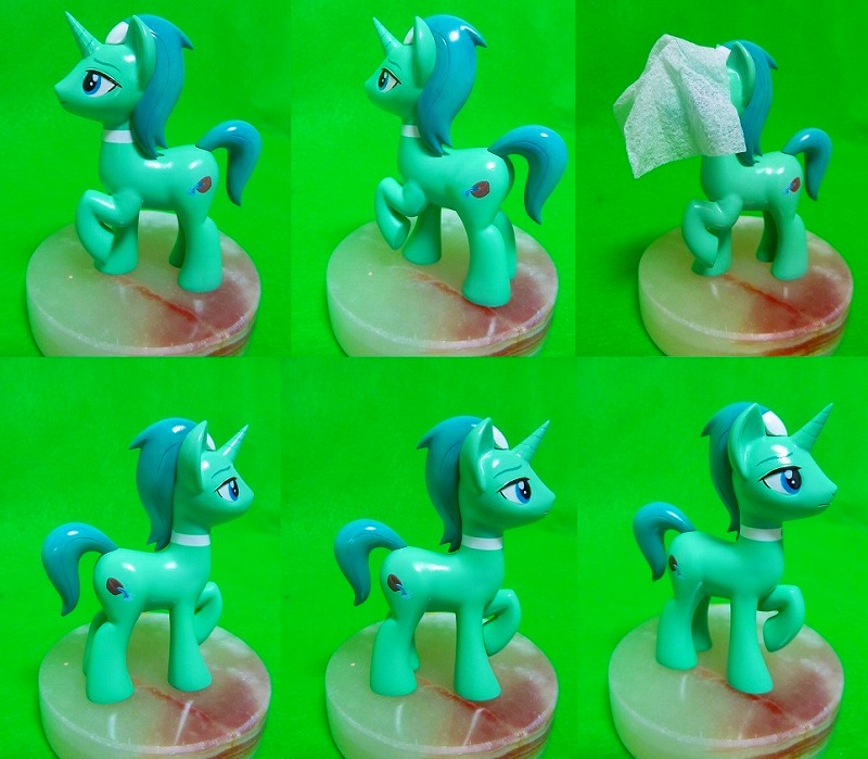 Spa worker pony details