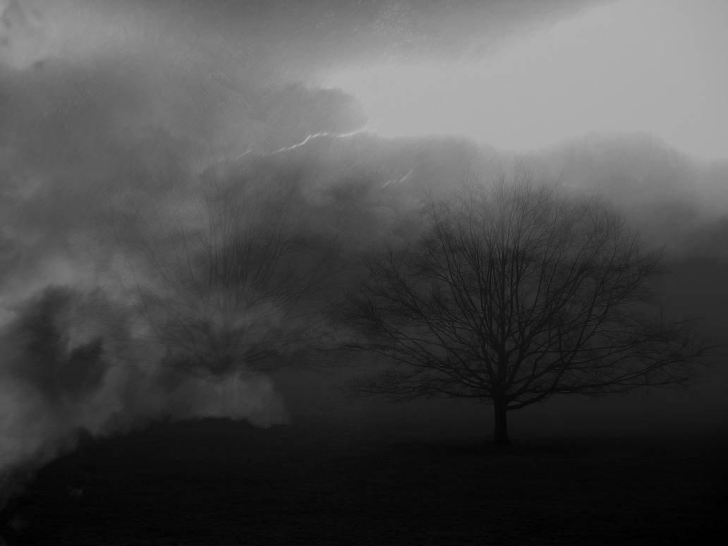 Tree, Fog, Rift v2 by Zornig on DeviantArt