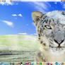 My PC to Mac Desktop September