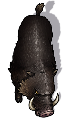 Boar Monkey Deviantart Boar by Caeora on DeviantArt