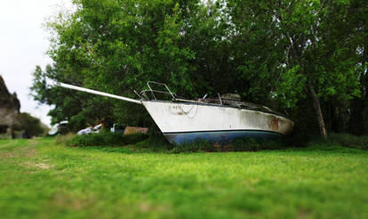 Boat on a Verdant Sea