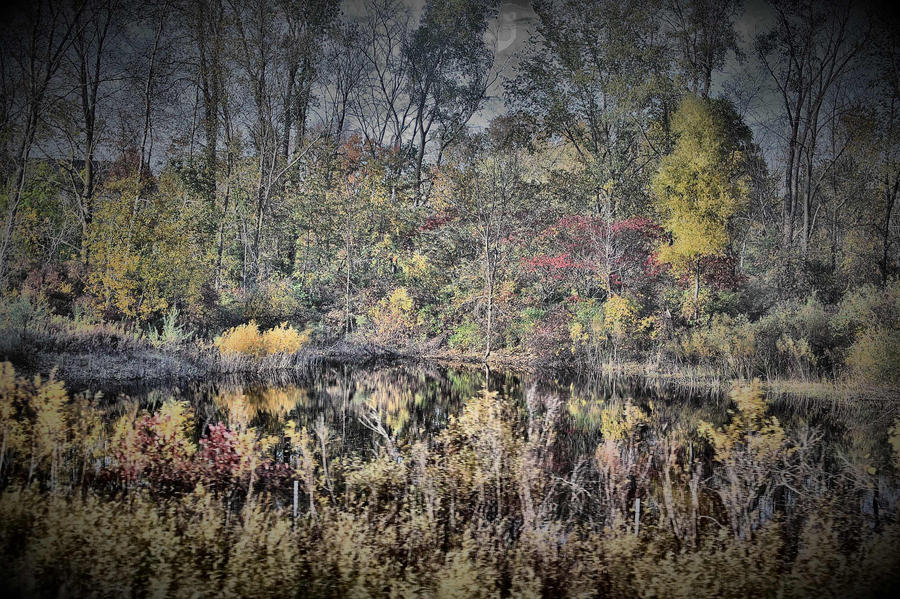 The Pond At Dusk