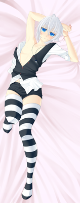 Tori dakimakura