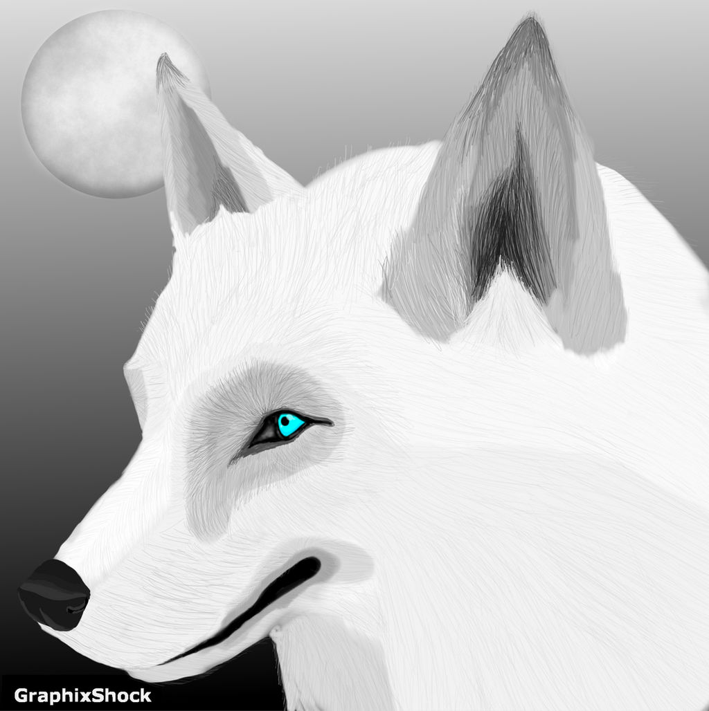 Moonlit Wolf