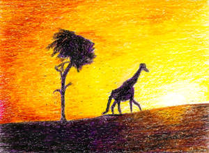 Sunset in the Sahel