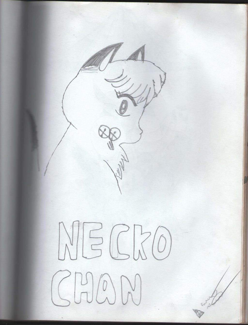 ranma 1/2 shampoo cat form by yanderekrill on DeviantArt