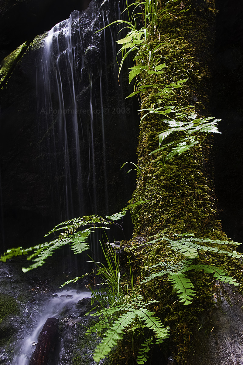 Under Eternal Rain