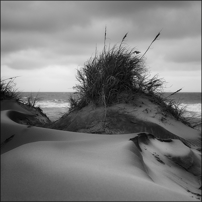 Dunes of Nag's Head