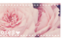 12.31.14 { Roses Stamp }