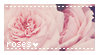 12.31.14 { Roses Stamp }