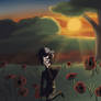 In flanders fields redraw again