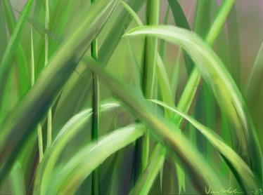 Grass practice thingie