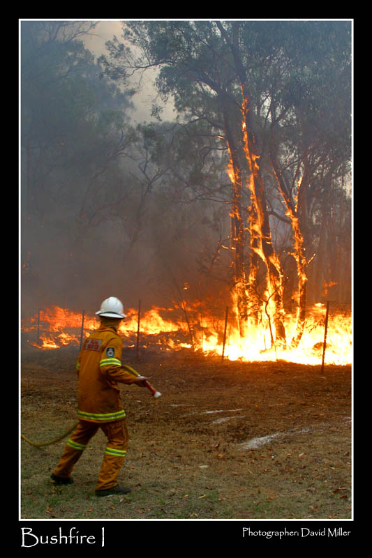 Bushfire I