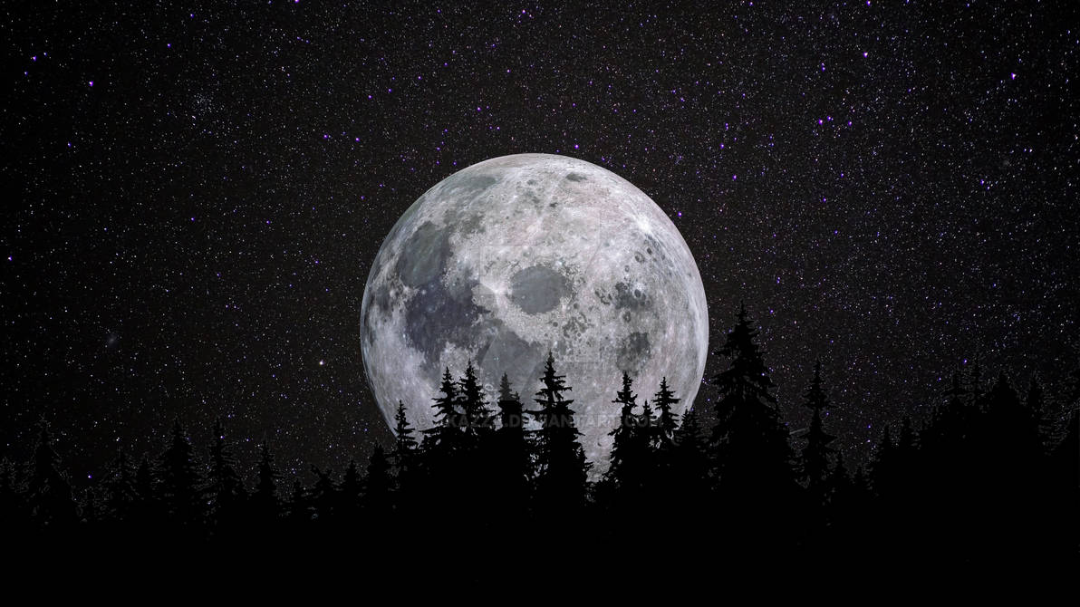 Ночь с луной 4. Луна. Огромная Луна. Полнолуние. Темная Луна.