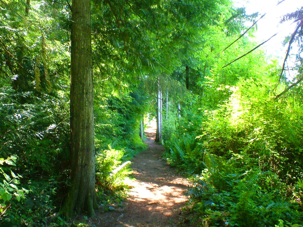 Down the garden path by s0ulsurvivor on DeviantArt