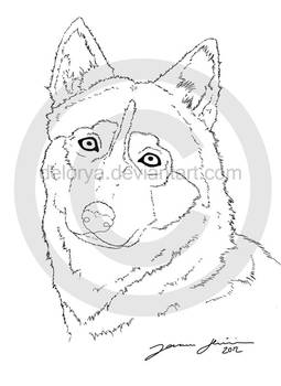 Husky(?) - WIP