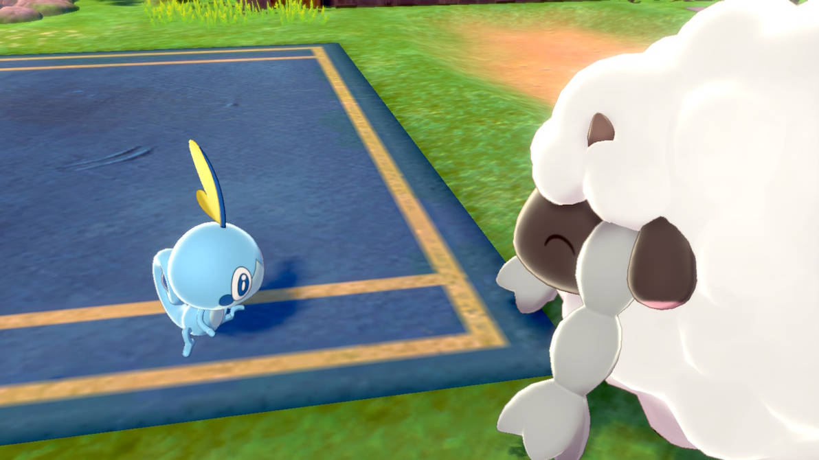 Pokemon Sword: Sobble and Wooloo by MegaCrystalSwiftail on DeviantArt