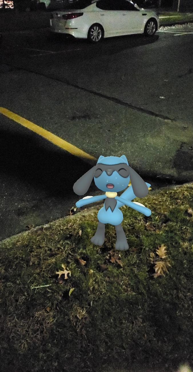 Happy Riolu. by MegaCrystalSwiftail on DeviantArt