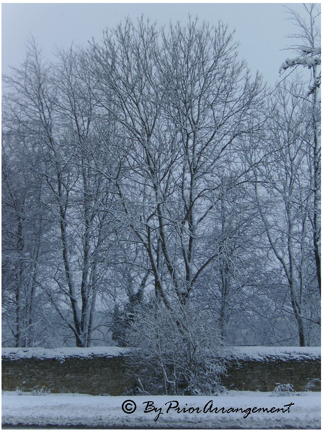 Winter 2009