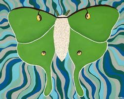 Luna Moth