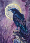 Raven by FallenFantasyArt