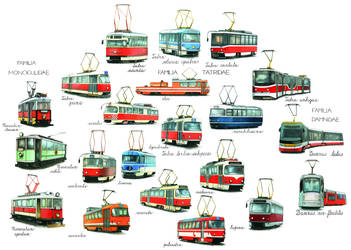 Trams of Prague