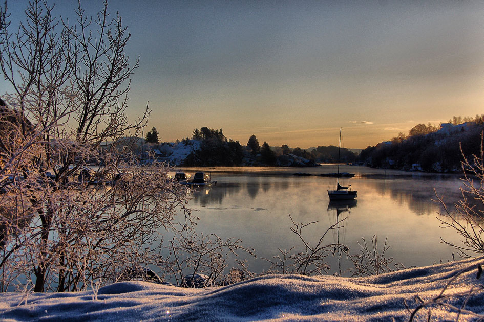 Frosty morning