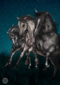 Cosmic Horses